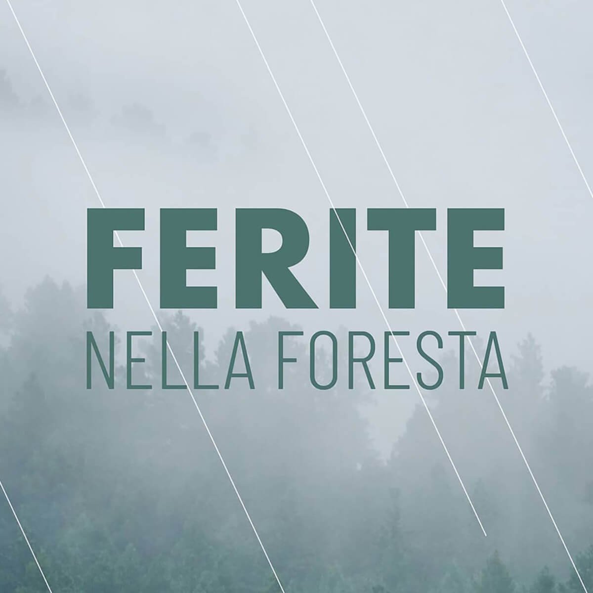 FERITE-NELLA-FORESTA