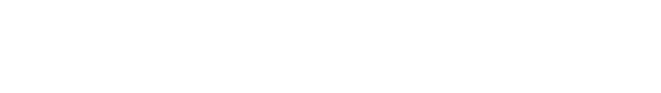 05.1 - Il programma